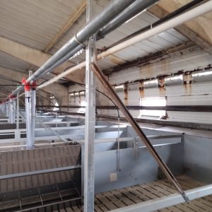 станок для доращивания